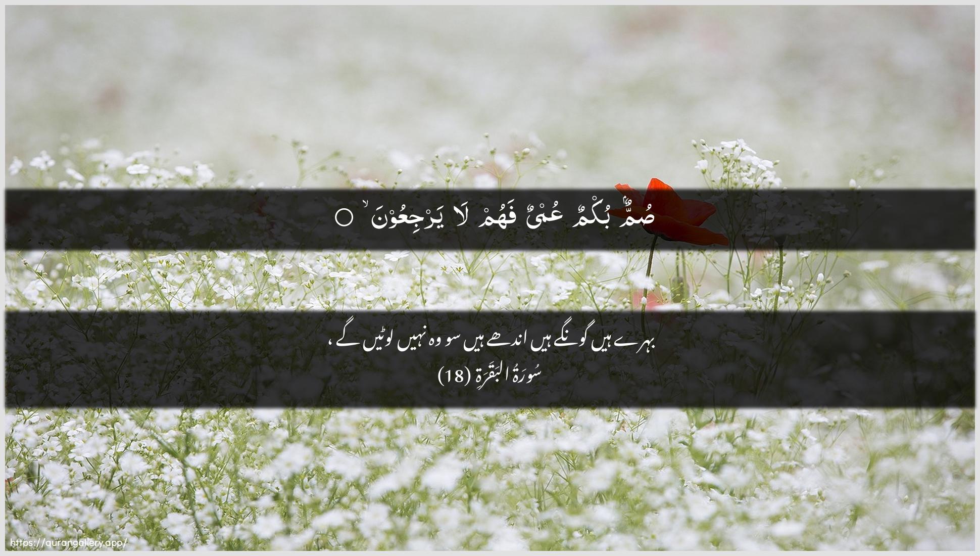 Surah Al-Baqara Ayah 18 of 2 HD Wallpaper: Download Beautiful horizontal Quran Verse Image | Summun bukmun AAumyun fahum layarjiAAoon