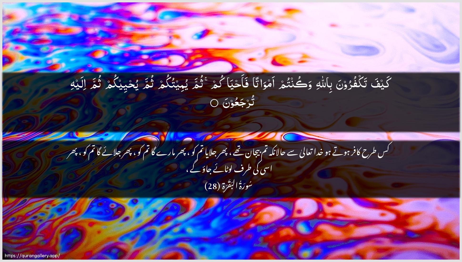 Surah Al-Baqara Ayah 28 of 2 HD Wallpaper: Download Beautiful horizontal Quran Verse Image | Kayfa takfuroona billahiwakuntum amwatan faahyakum thumma yumeetukumthumma yuhyeekum thumma ilayhi turjaAAoon