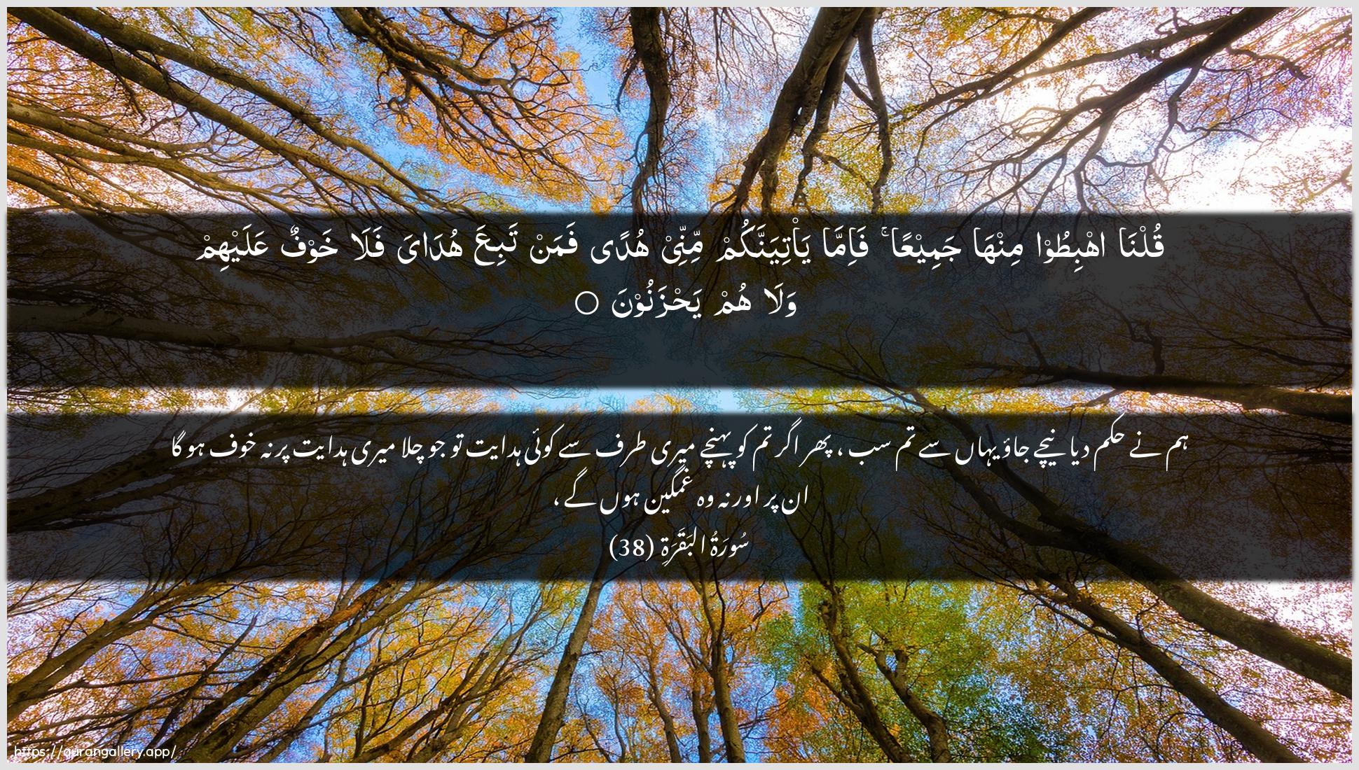 Surah Al-Baqara Ayah 38 of 2 HD Wallpaper: Download Beautiful horizontal Quran Verse Image | Qulna ihbitoo minhajameeAAan fa-imma ya/tiyannakum minnee hudan faman tabiAAahudaya fala khawfun AAalayhim wala hum yahzanoon