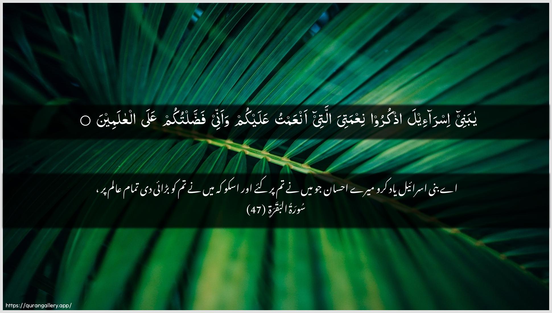 Surah Al-Baqara Ayah 47 of 2 HD Wallpaper: Download Beautiful horizontal Quran Verse Image | Ya banee isra-eela othkurooniAAmatiya allatee anAAamtu AAalaykum waannee faddaltukumAAala alAAalameen