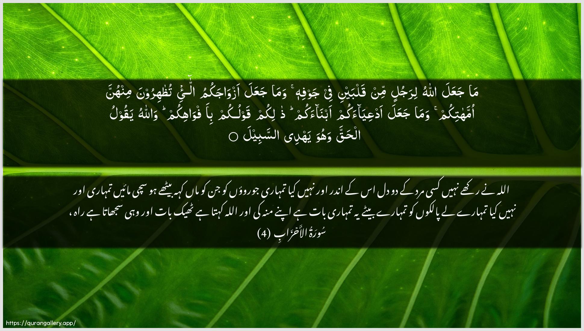 Surah Al-Ahzaab Ayah 4 of 33 HD Wallpaper: Download Beautiful horizontal Quran Verse Image | Ma jaAAala Allahu lirajulin minqalbayni fee jawfihi wama jaAAala azwajakumu alla-eetuthahiroona minhunna ommahatikum wamajaAAala adAAiyaakum abnaakum thalikumqawlukum bi-afwahikum wallahu yaqoolu alhaqqawahuwa yahdee assabeel