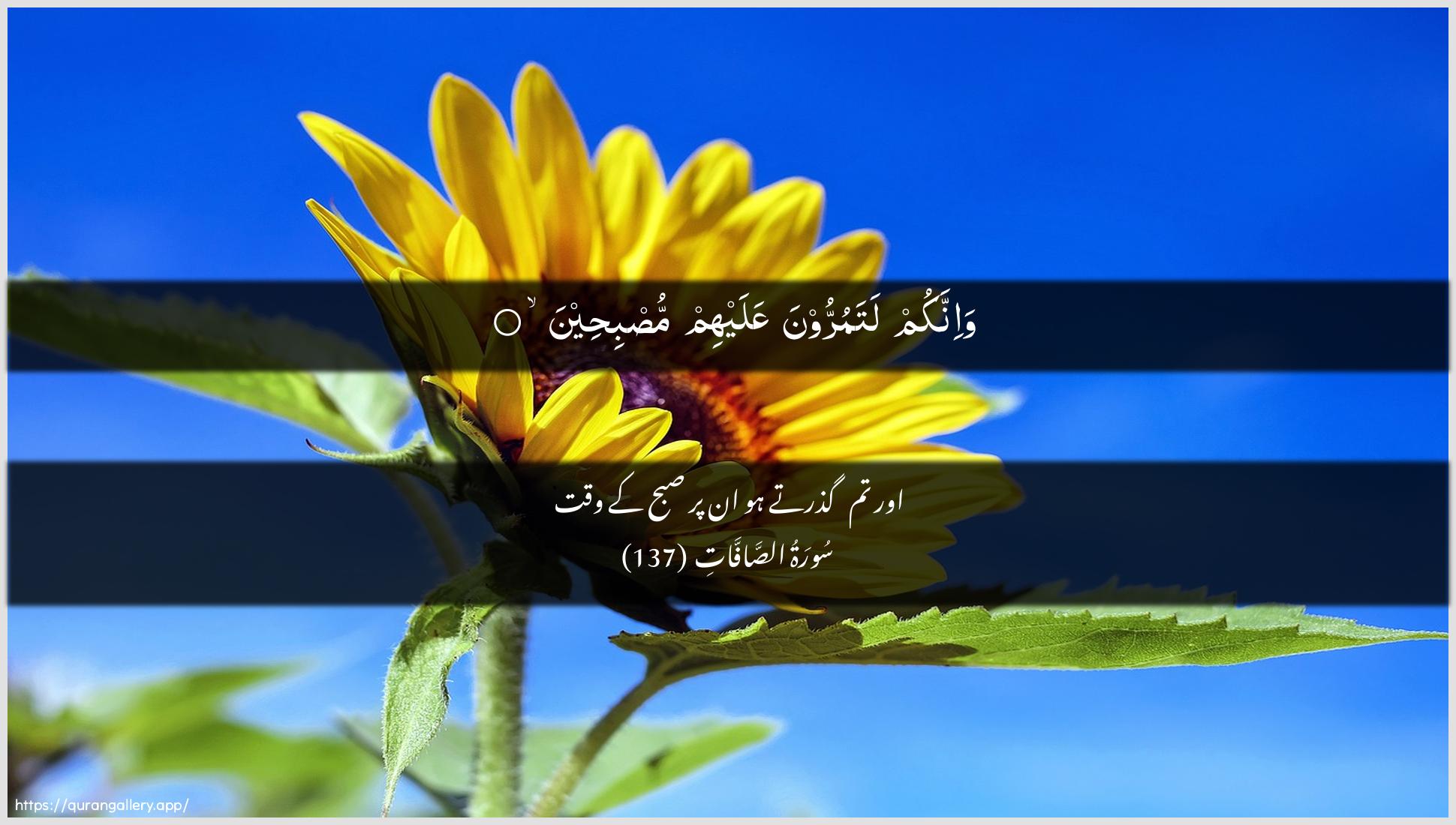 Surah As-Saaffaat Ayah 137 of 37 HD Wallpaper: Download Beautiful horizontal Quran Verse Image | Wa-innakum latamurroona AAalayhim musbiheen