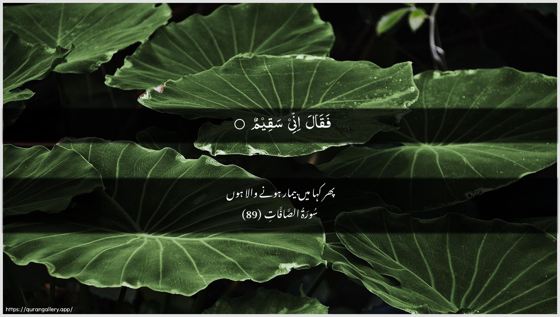 Surah As-Saaffaat Ayah 89 of 37 HD Wallpaper: Download Beautiful horizontal Quran Verse Image | Faqala innee saqeem