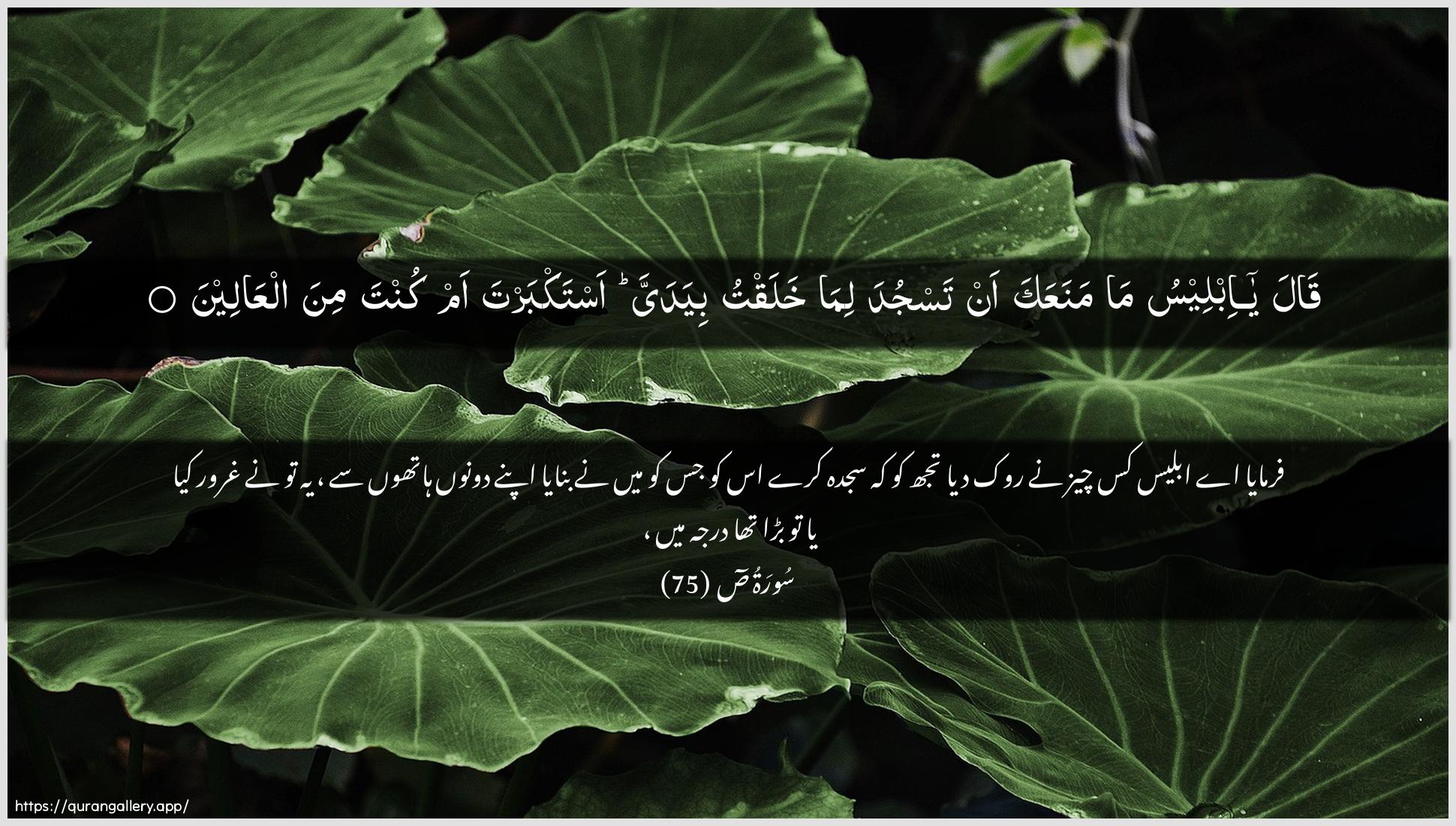 Surah Saad Ayah 75 of 38 HD Wallpaper: Download Beautiful horizontal Quran Verse Image | Qala ya ibleesu mamanaAAaka an tasjuda lima khalaqtu biyadayya astakbarta amkunta mina alAAaleen