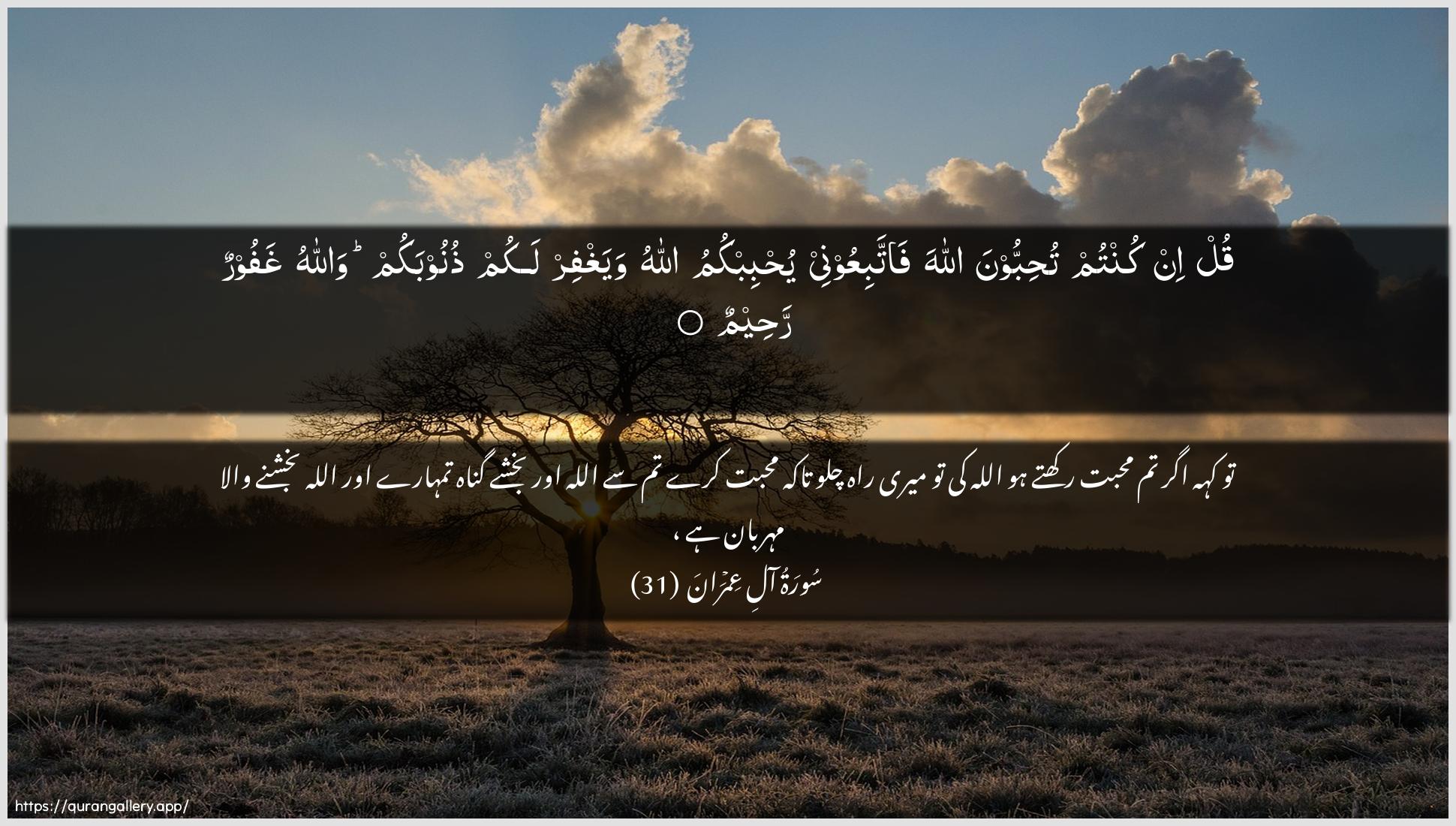 Surah Aal-i-Imraan Ayah 31 of 3 HD Wallpaper: Download Beautiful horizontal Quran Verse Image | Qul in kuntum tuhibboona AllahafattabiAAoonee yuhbibkumu Allahu wayaghfirlakum thunoobakum wallahu ghafoorun raheem