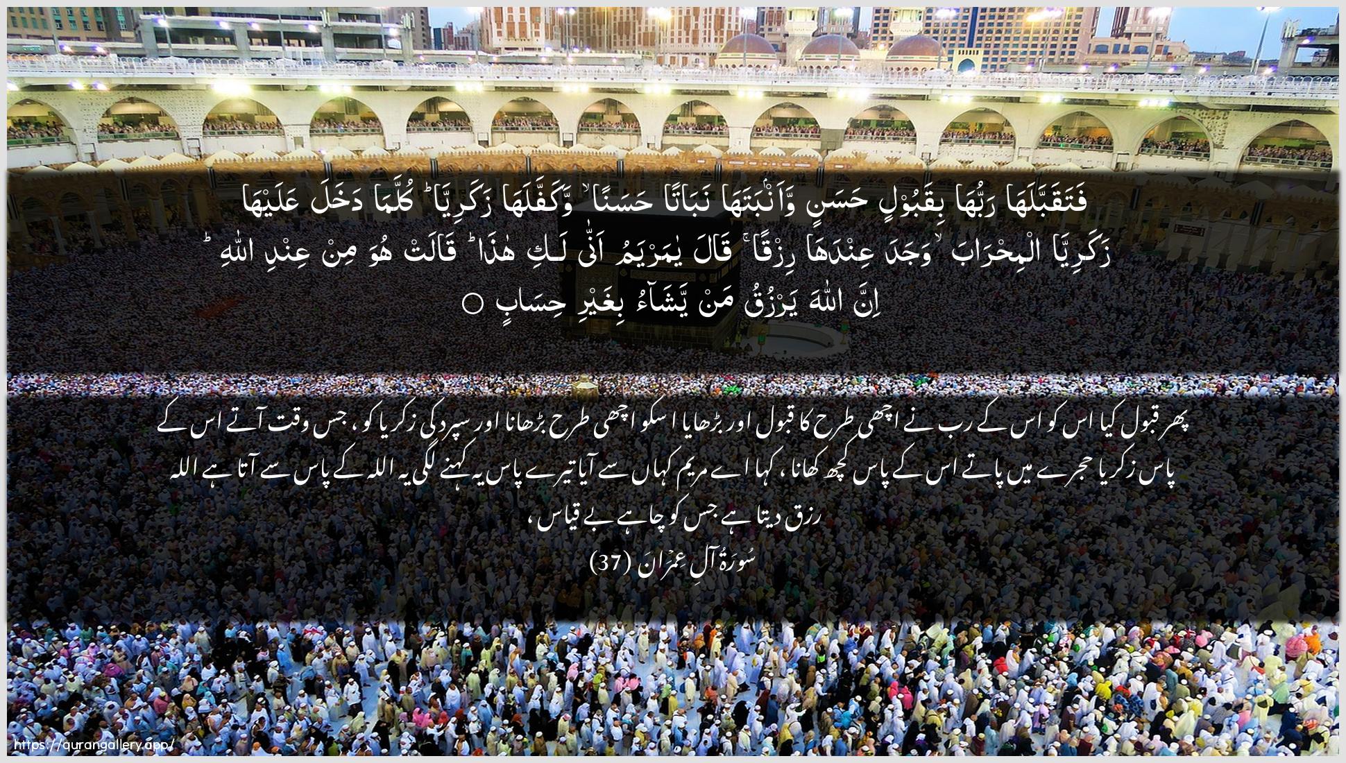 Surah Aal-i-Imraan Ayah 37 of 3 HD Wallpaper: Download Beautiful horizontal Quran Verse Image | Fataqabbalaha rabbuhabiqaboolin hasanin waanbataha nabatan hasananwakaffalaha zakariyya kullama dakhalaAAalayha zakariyya almihraba wajadaAAindaha rizqan qala ya maryamu annalaki hatha qalat huwa min AAindi Allahi innaAllaha yarzuqu man yashao bighayri hisab