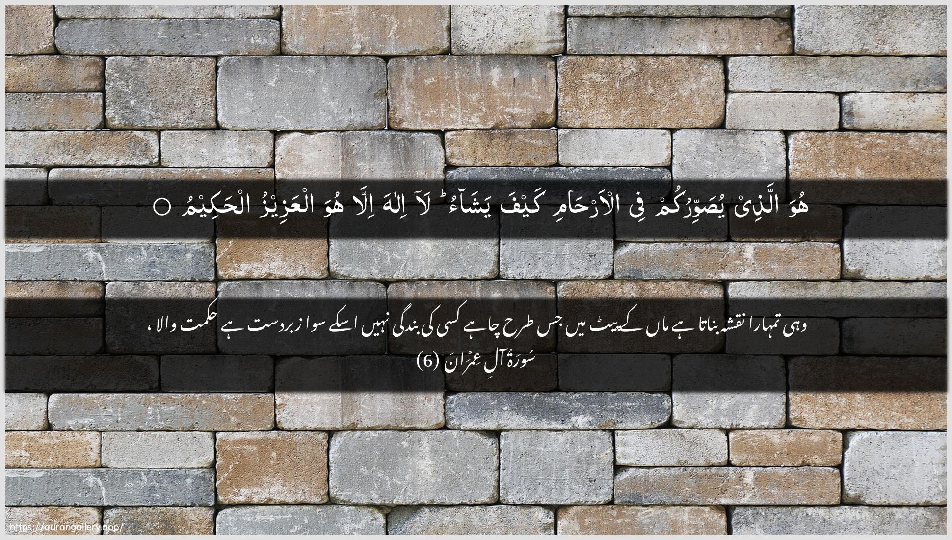 Surah Aal-i-Imraan Ayah 6 of 3 HD Wallpaper: Download Beautiful horizontal Quran Verse Image | Huwa allathee yusawwirukum feeal-arhami kayfa yashao la ilaha illahuwa alAAazeezu alhakeem