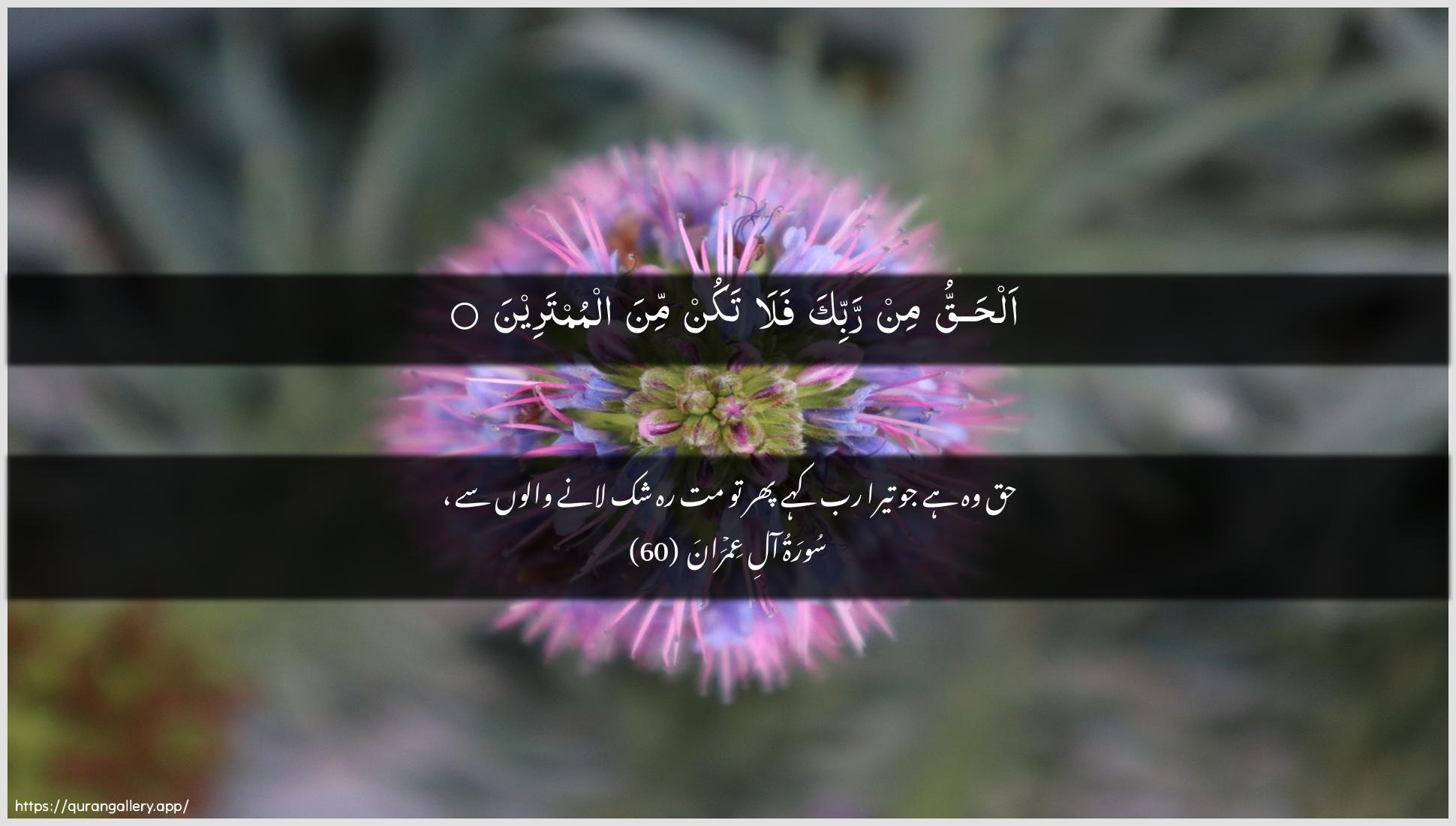 Surah Aal-i-Imraan Ayah 60 of 3 HD Wallpaper: Download Beautiful horizontal Quran Verse Image | Alhaqqu min rabbika fala takunmina almumtareen