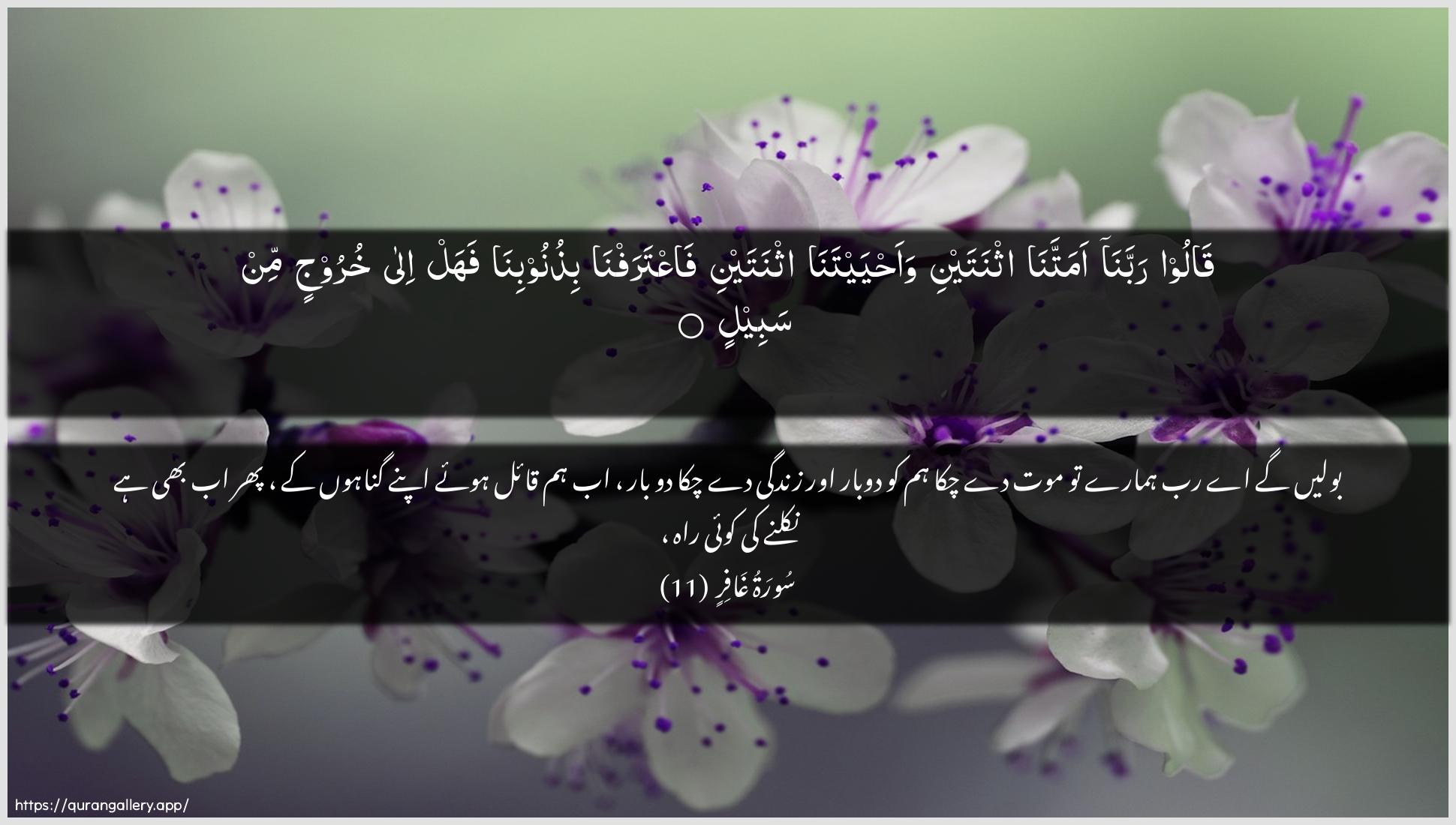 Surah Al-Ghaafir Ayah 11 of 40 HD Wallpaper: Download Beautiful horizontal Quran Verse Image | Qaloo rabbana amattanaithnatayni waahyaytana ithnatayni faAAtarafnabithunoobina fahal ila khuroojin min sabeel