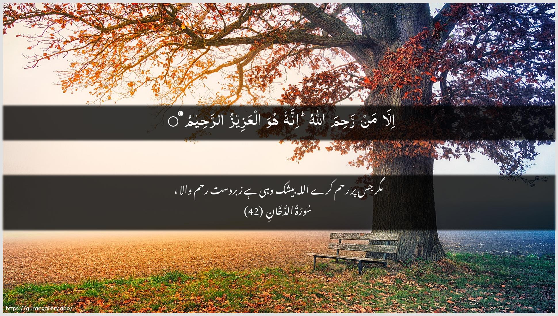 Surah Ad-Dukhaan Ayah 42 of 44 HD Wallpaper: Download Beautiful horizontal Quran Verse Image | Illa man rahima Allahuinnahu huwa alAAazeezu arraheem