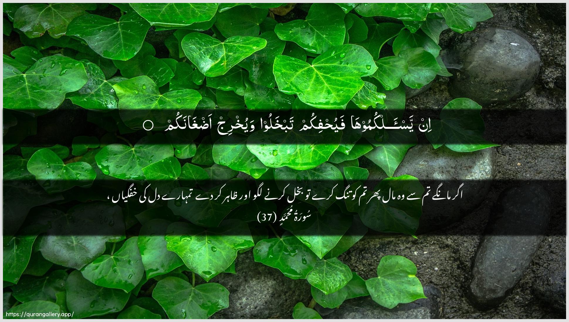 Surah Muhammad Ayah 37 of 47 HD Wallpaper: Download Beautiful horizontal Quran Verse Image | In yas-alkumooha fayuhfikumtabkhaloo wayukhrij adghanakum