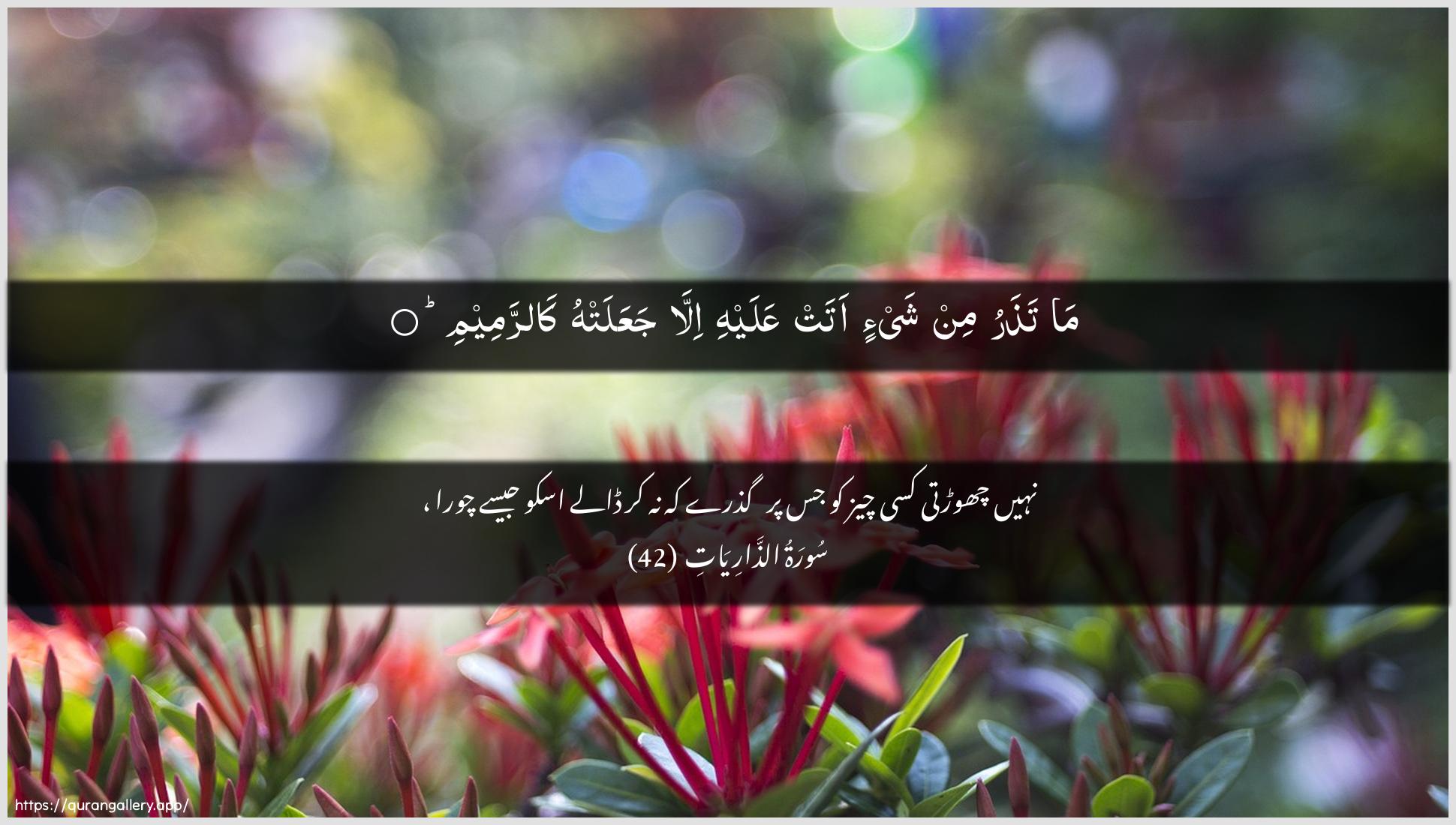 Surah Adh-Dhaariyat Ayah 42 of 51 HD Wallpaper: Download Beautiful horizontal Quran Verse Image | Ma tatharu min shay-in atatAAalayhi illa jaAAalat-hu karrameem