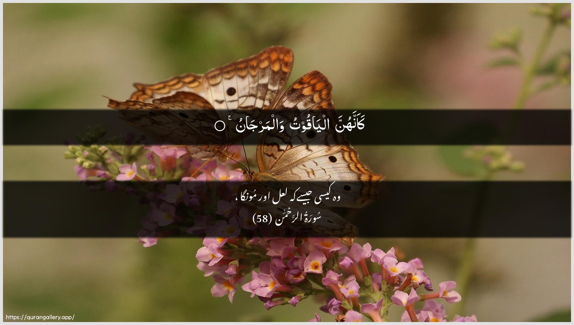 Surah Ar-Rahmaan Ayah 58 of 55 HD Wallpaper: Download Beautiful horizontal Quran Verse Image | Kaannahunna alyaqootu walmarjan