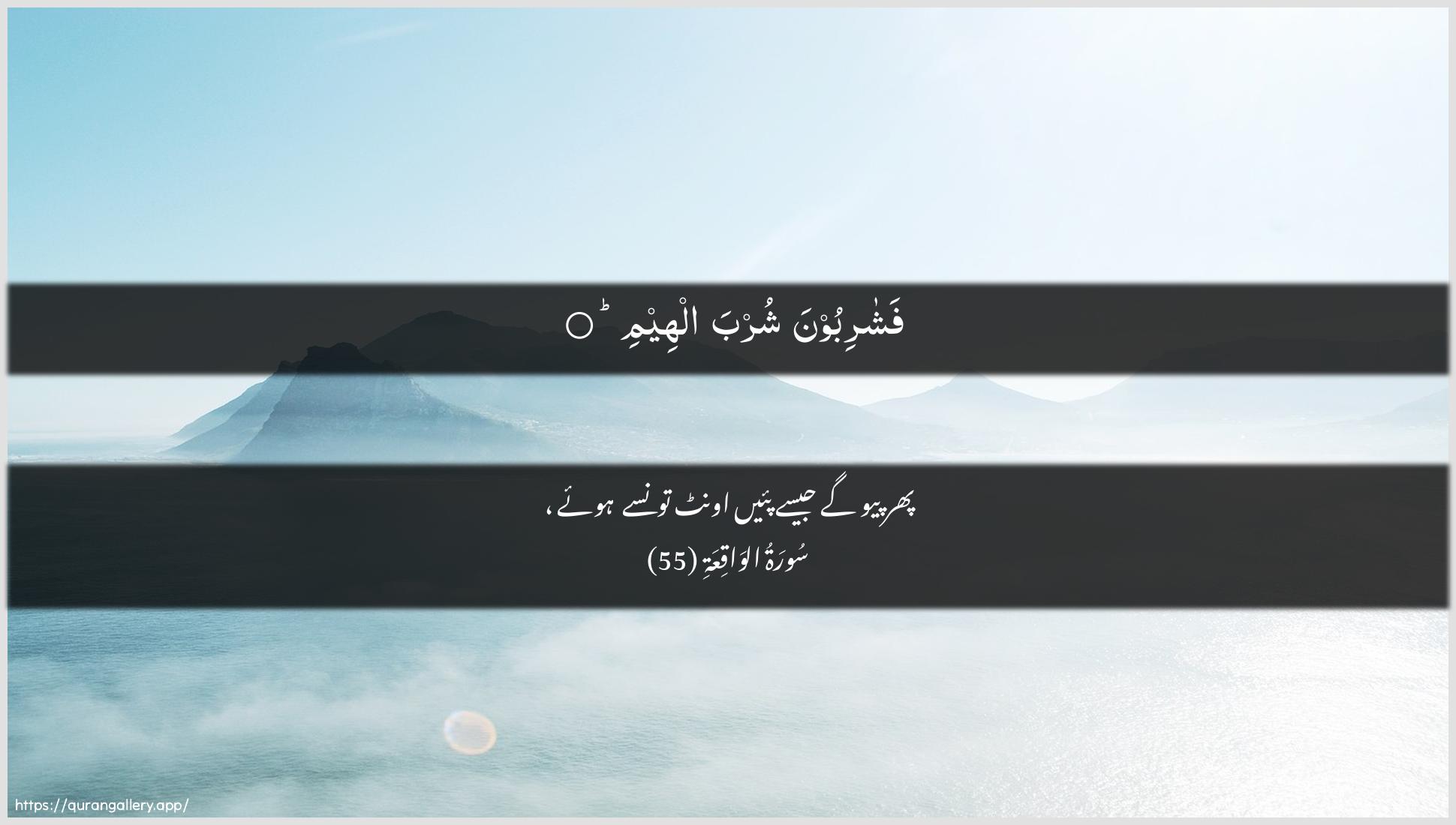 Surah Al-Waaqia Ayah 55 of 56 HD Wallpaper: Download Beautiful horizontal Quran Verse Image | Fashariboona shurba alheem