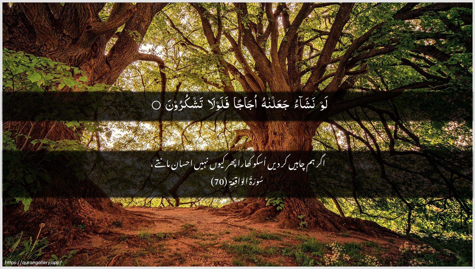 Surah Al-Waaqia Ayah 70 of 56 HD Wallpaper: Download Beautiful horizontal Quran Verse Image | Law nashao jaAAalnahu ojajanfalawla tashkuroon