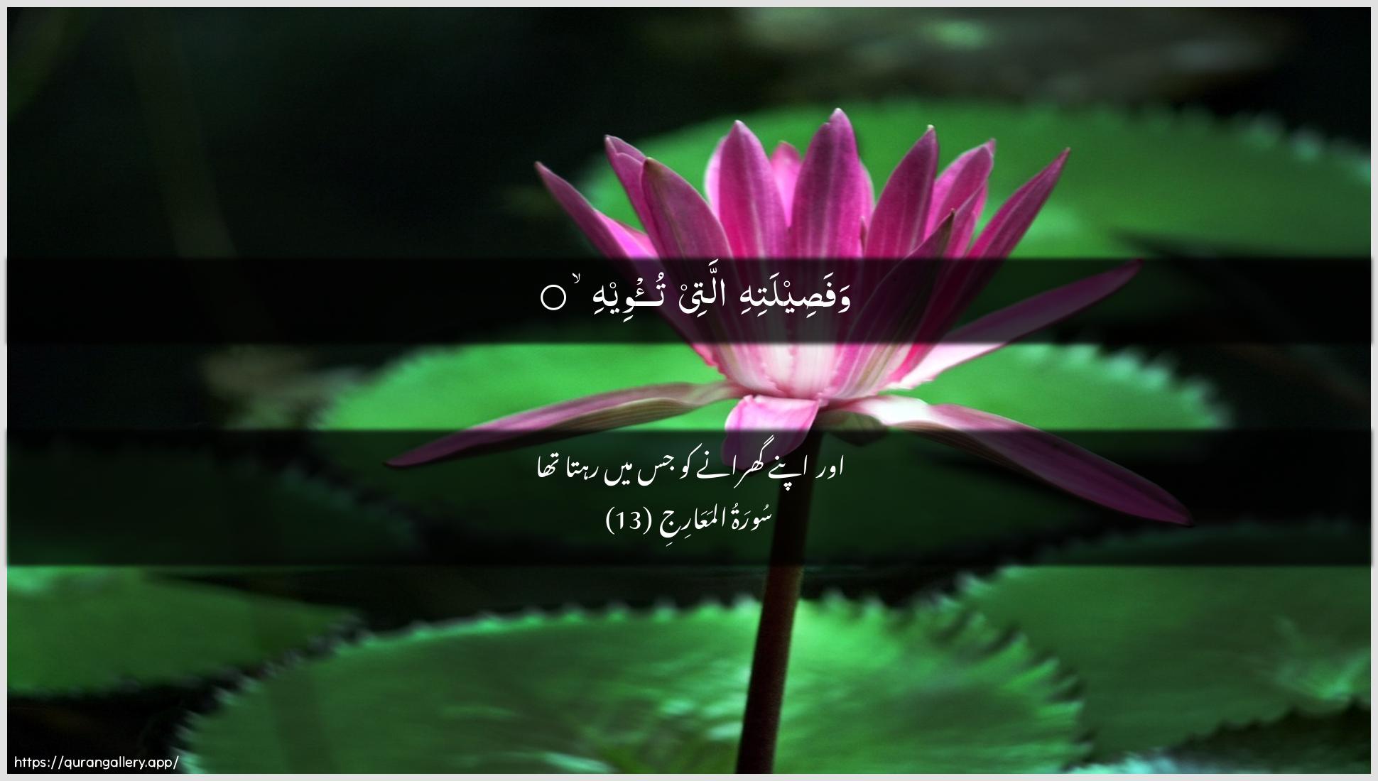 Surah Al-Ma"aarij Ayah 13 of 70 HD Wallpaper: Download Beautiful horizontal Quran Verse Image | Wafaseelatihi allatee tu/weeh