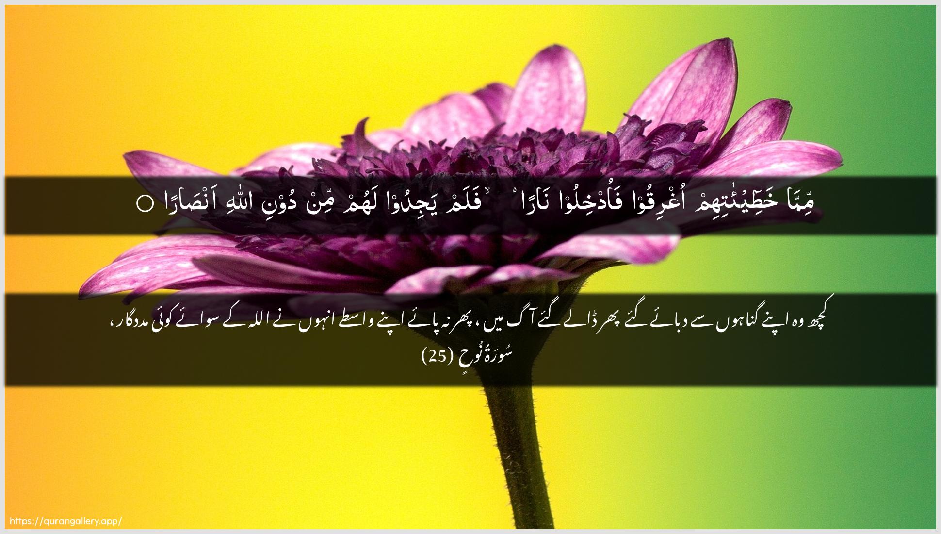 Surah Nooh Ayah 25 of 71 HD Wallpaper: Download Beautiful horizontal Quran Verse Image | Mimma khatee-atihimoghriqoo faodkhiloo naran falam yajidoo lahum min dooniAllahi ansara