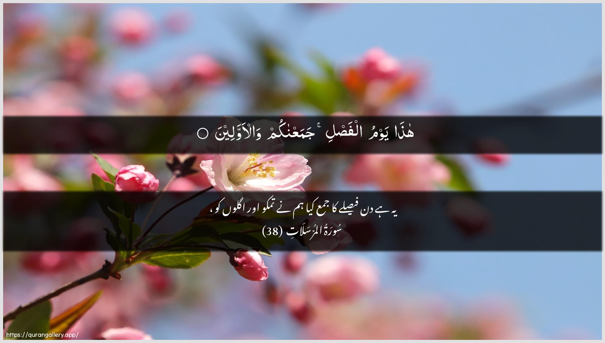 Surah Al-Mursalaat Ayah 38 of 77 HD Wallpaper: Download Beautiful horizontal Quran Verse Image | Hatha yawmu alfasli jamaAAnakumwal-awwaleen