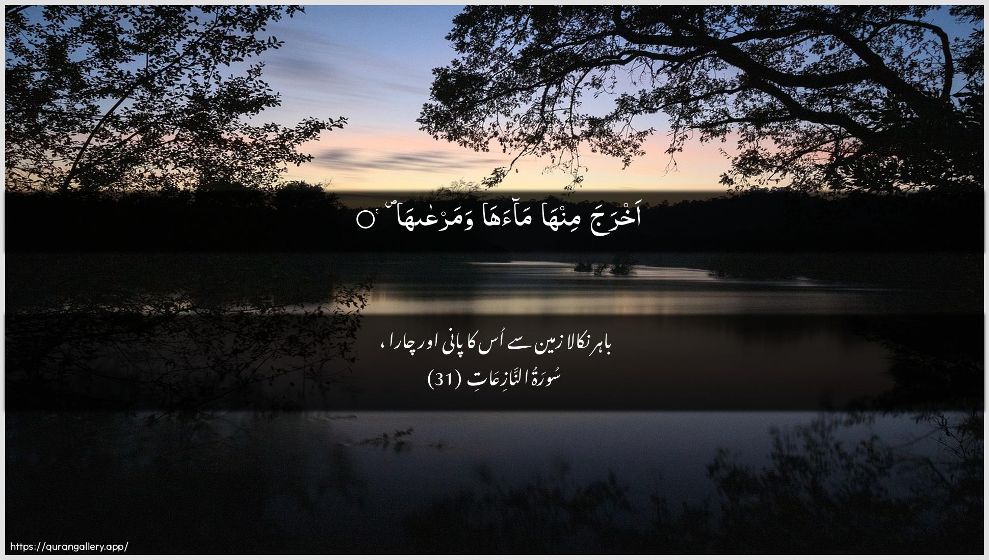 Surah An-Naazi"aat Ayah 31 of 79 HD Wallpaper: Download Beautiful horizontal Quran Verse Image | Akhraja minha maahawamarAAaha