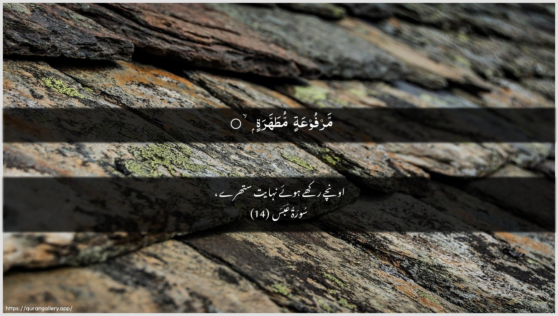 Surah Abasa Ayah 14 of 80 HD Wallpaper: Download Beautiful horizontal Quran Verse Image | MarfooAAatin mutahhara