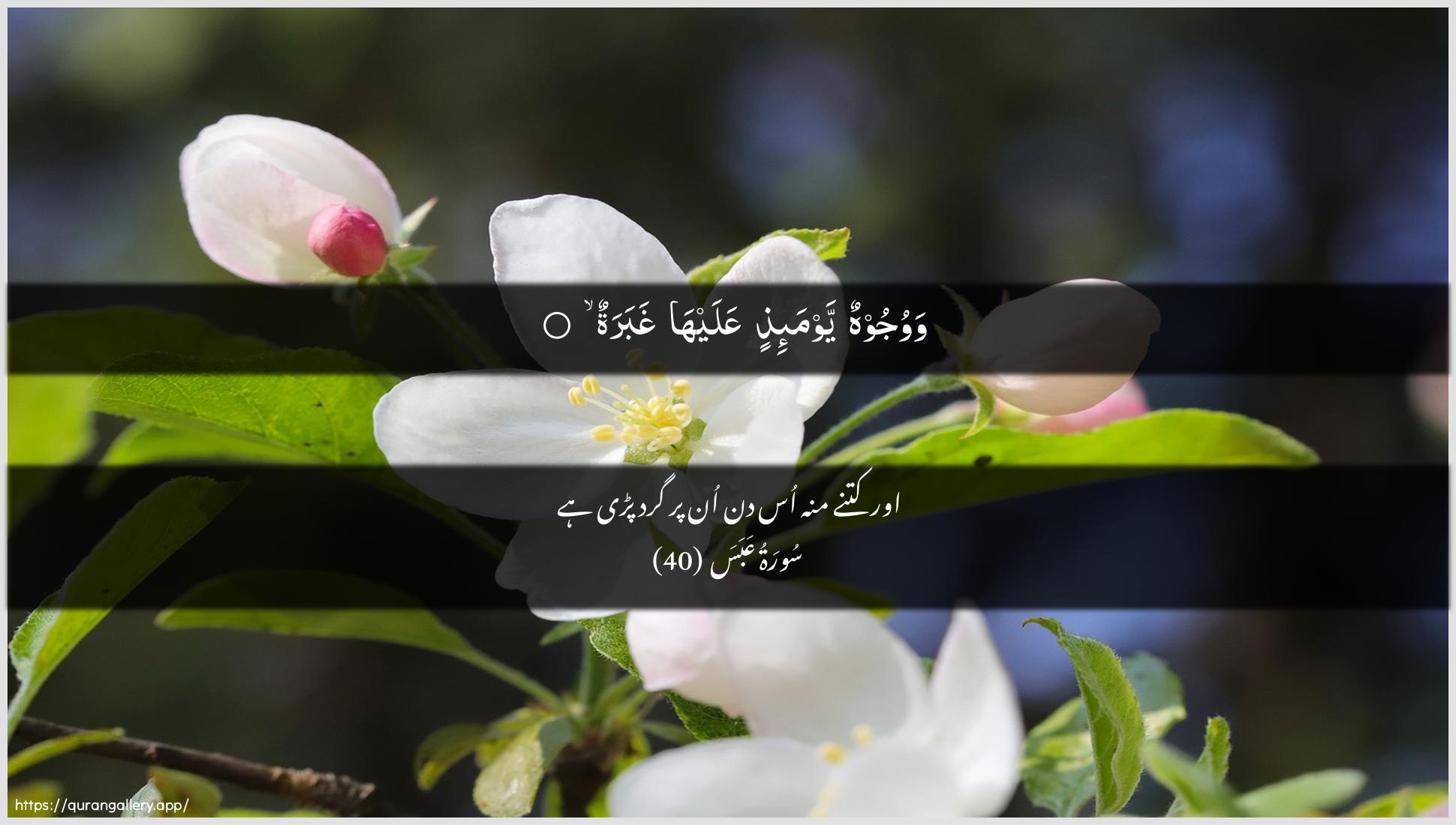 Surah Abasa Ayah 40 of 80 HD Wallpaper: Download Beautiful horizontal Quran Verse Image | Wawujoohun yawma-ithin AAalayhaghabara