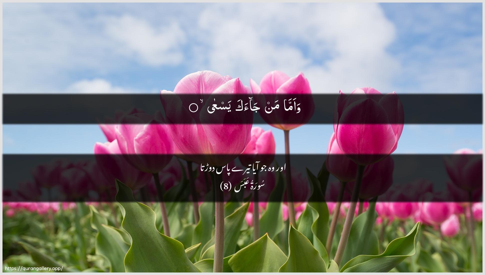 Surah Abasa Ayah 8 of 80 HD Wallpaper: Download Beautiful horizontal Quran Verse Image | Waamma man jaaka yasAAa