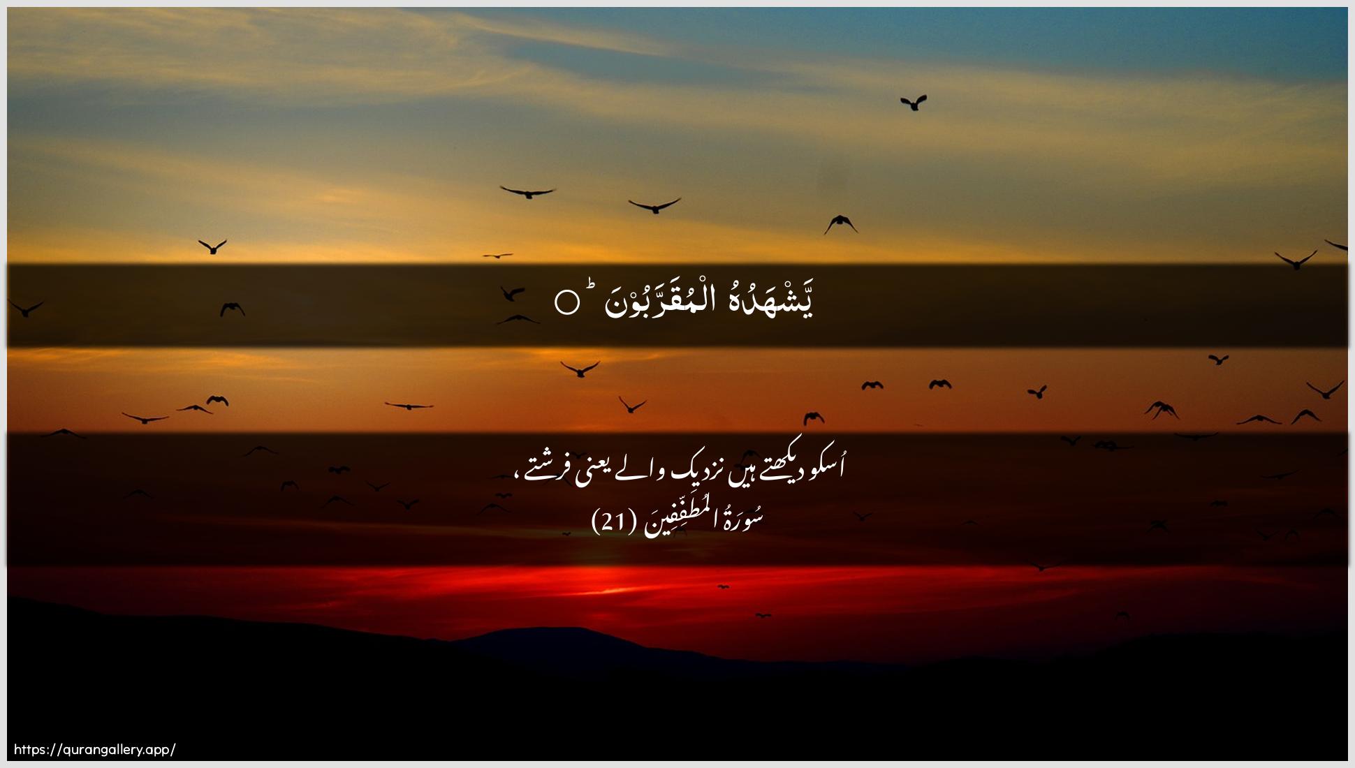 Surah Al-Mutaffifin Ayah 21 of 83 HD Wallpaper: Download Beautiful horizontal Quran Verse Image | Yashhaduhu almuqarraboon