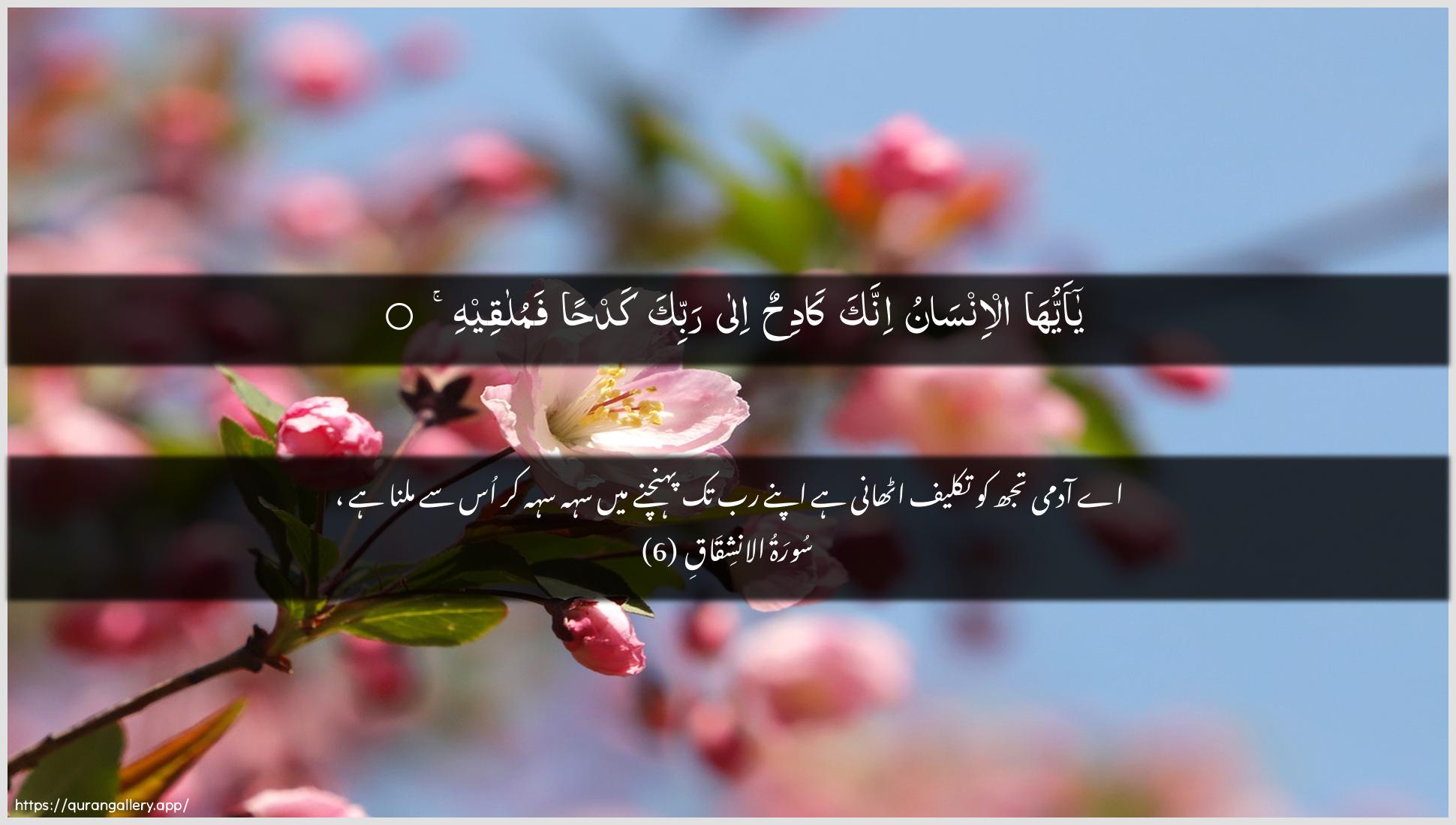 Surah Al-Inshiqaaq Ayah 6 of 84 HD Wallpaper: Download Beautiful horizontal Quran Verse Image | Ya ayyuha al-insanuinnaka kadihun ila rabbika kadhanfamulaqeeh