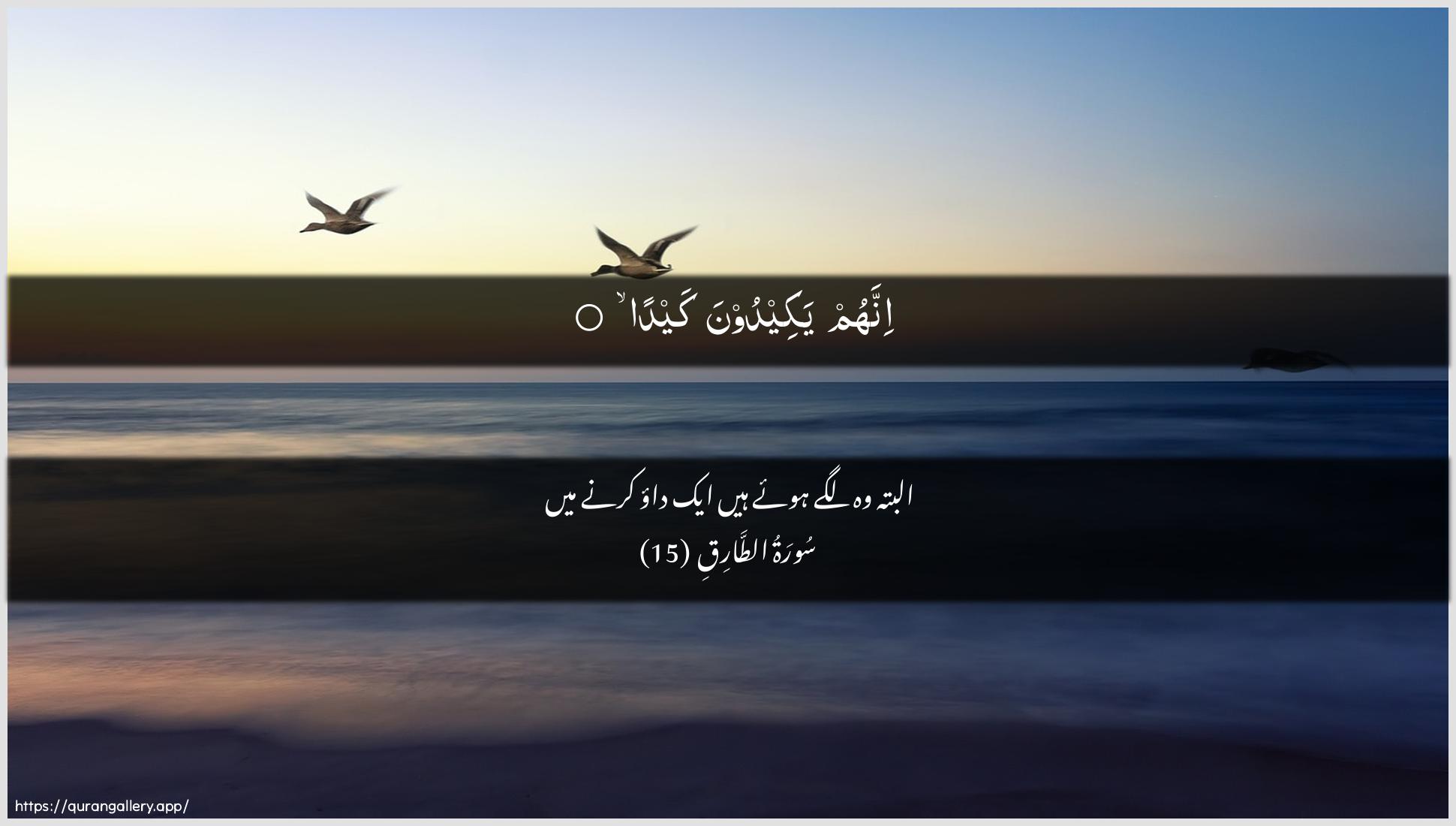 Surah At-Taariq Ayah 15 of 86 HD Wallpaper: Download Beautiful horizontal Quran Verse Image | Innahum yakeedoona kayda