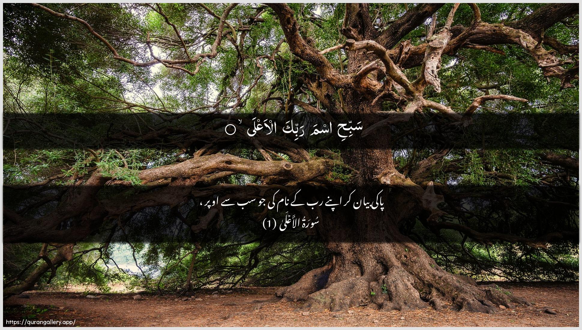 Surah Al-A"laa Ayah 1 of 87 HD Wallpaper: Download Beautiful horizontal Quran Verse Image | Sabbihi isma rabbika al-aAAla