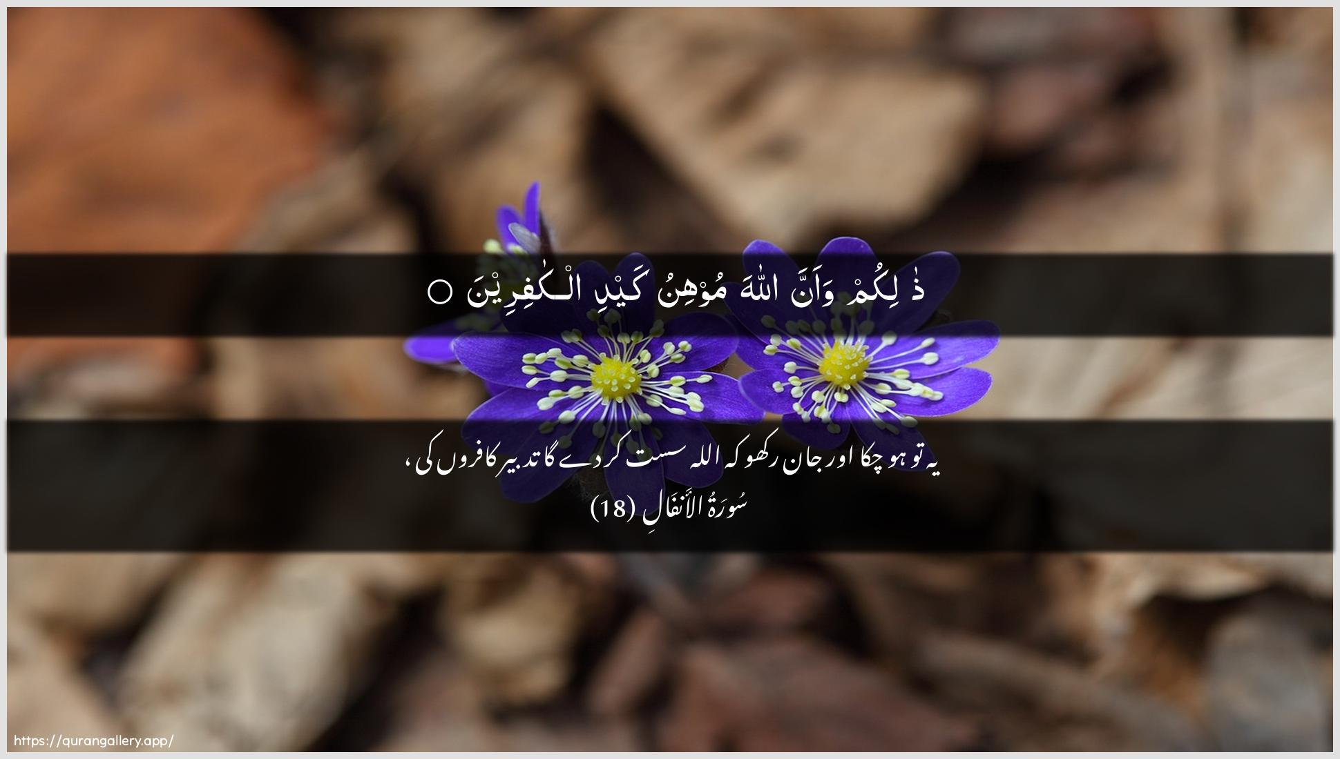 Surah Al-Anfaal Ayah 18 of 8 HD Wallpaper: Download Beautiful horizontal Quran Verse Image | Thalikum waanna Allaha moohinukaydi alkafireen