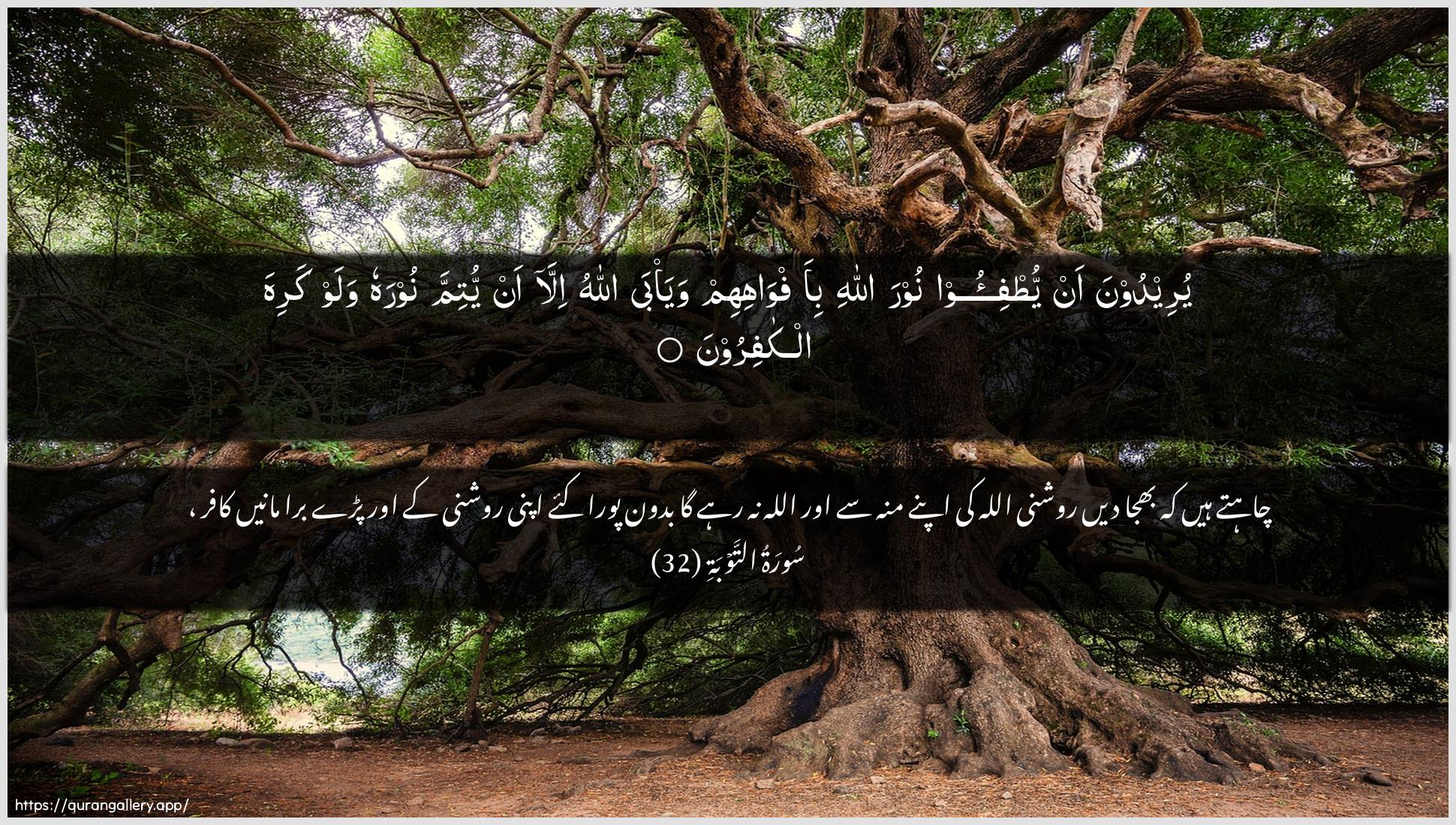 Surah At-Tawba Ayah 32 of 9 HD Wallpaper: Download Beautiful horizontal Quran Verse Image | Yureedoona an yutfi-oo noora Allahibi-afwahihim waya/ba Allahu illa anyutimma noorahu walaw kariha alkafiroon