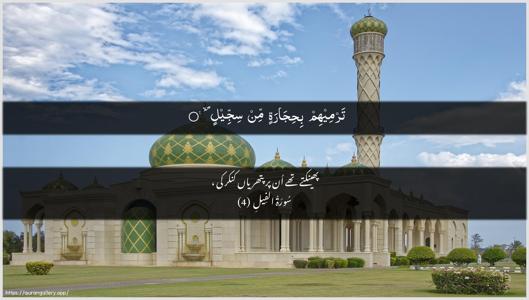 Al-Fil Ayah 4 - Arabic + Urdu wallpaper