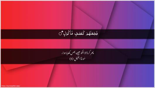 Al-Fil Ayah 5 - Arabic + Urdu wallpaper