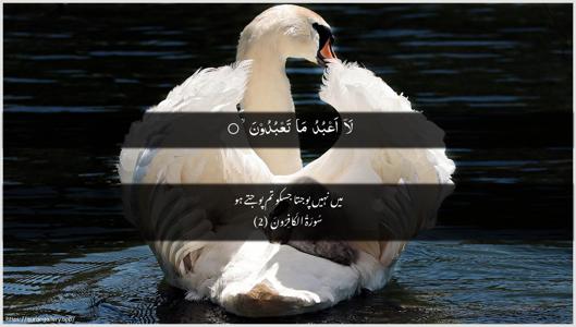 Al-Kaafiroon Ayah 2 - Arabic + Urdu wallpaper