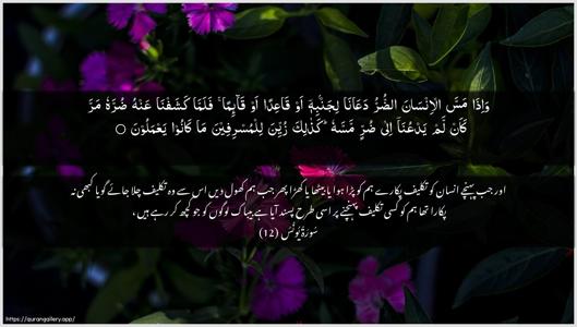 Yunus Ayah 12 - Arabic + Urdu wallpaper