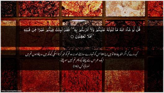 Yunus Ayah 16 - Arabic + Urdu wallpaper
