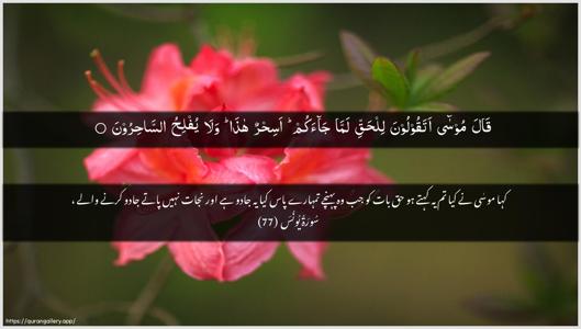 Yunus Ayah 77 - Arabic + Urdu wallpaper