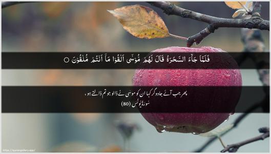Yunus Ayah 80 - Arabic + Urdu wallpaper