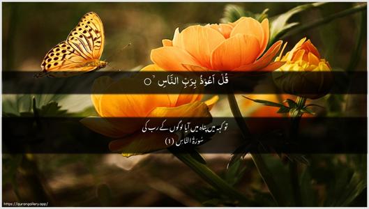 An-Naas Ayah 1 - Arabic + Urdu wallpaper