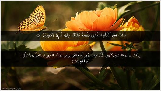 Hud Ayah 100 - Arabic + Urdu wallpaper