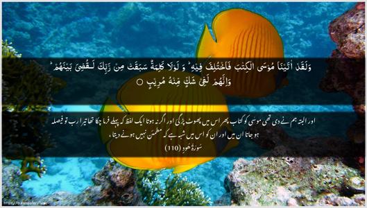 Hud Ayah 110 - Arabic + Urdu wallpaper