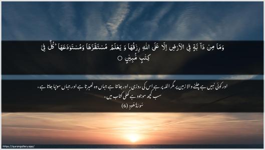 Hud Ayah 6 - Arabic + Urdu wallpaper