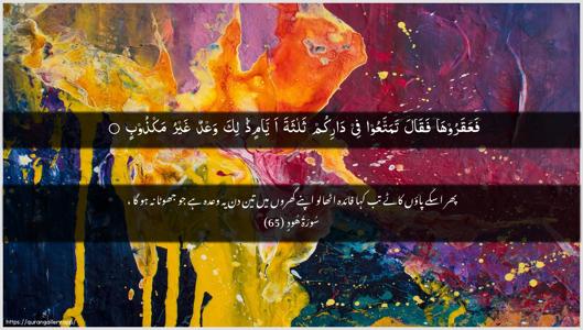 Hud Ayah 65 - Arabic + Urdu wallpaper