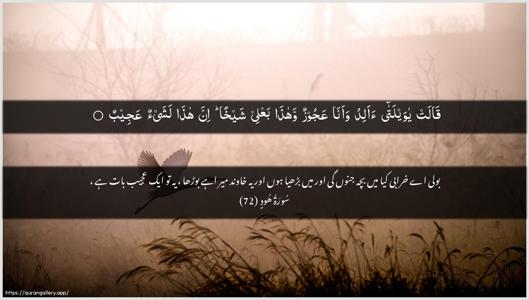Hud Ayah 72 - Arabic + Urdu wallpaper