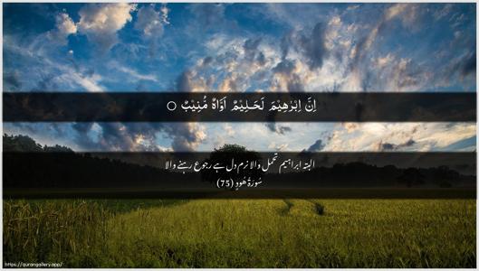 Hud Ayah 75 - Arabic + Urdu wallpaper
