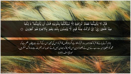 Yusuf Ayah 37 - Arabic + Urdu wallpaper