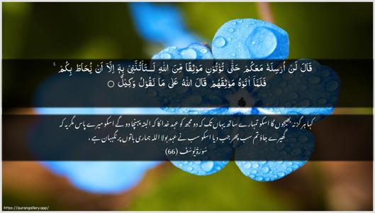 Yusuf Ayah 66 - Arabic + Urdu wallpaper