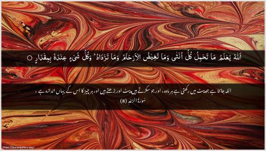 Ar-Ra"d Ayah 8 - Arabic + Urdu wallpaper