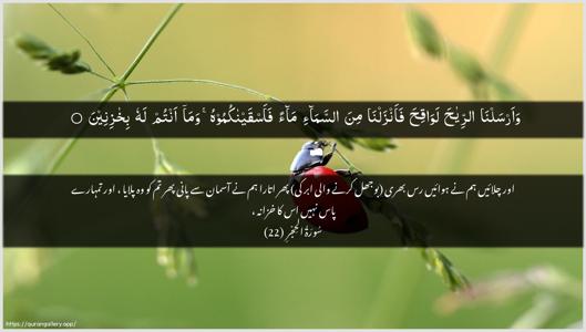 Al-Hijr Ayah 22 - Arabic + Urdu wallpaper
